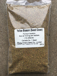 Clover Seeds (500g)
