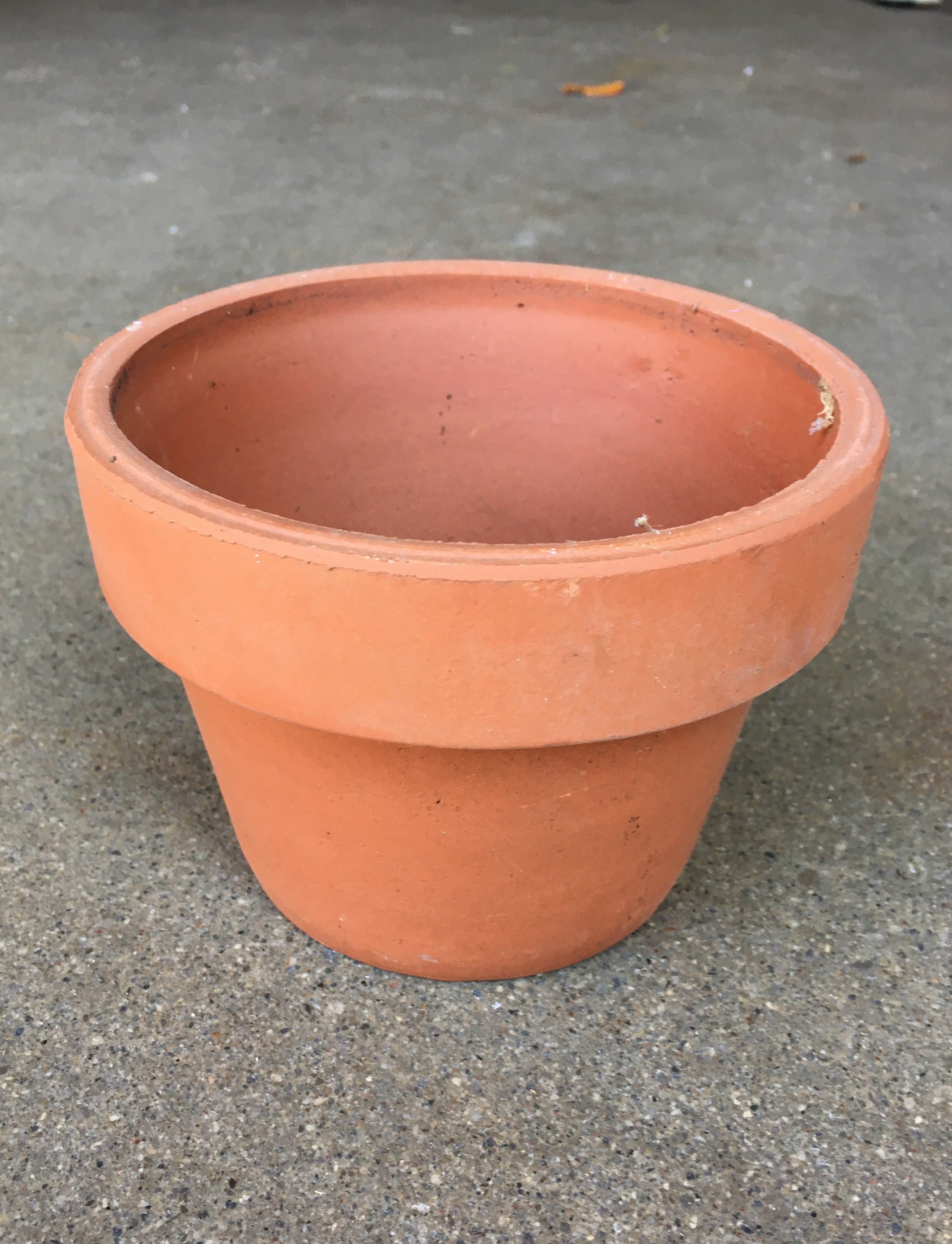 Small Terracotta Pot (5 inch)