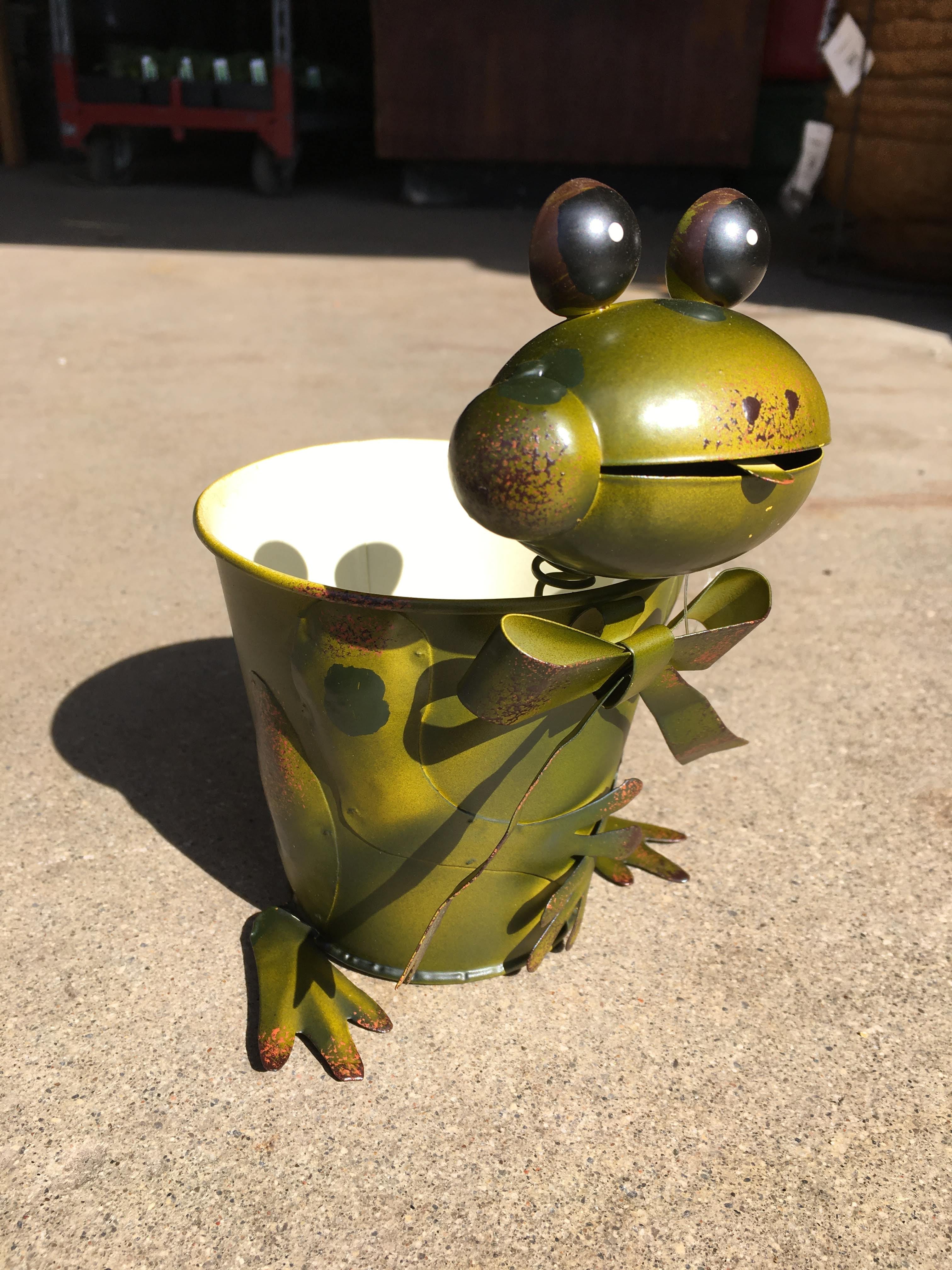 Small Metal Frog Pot