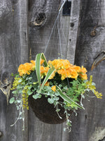 Load image into Gallery viewer, Mixed Begonia Hanging Basket (Assorted Colours)
