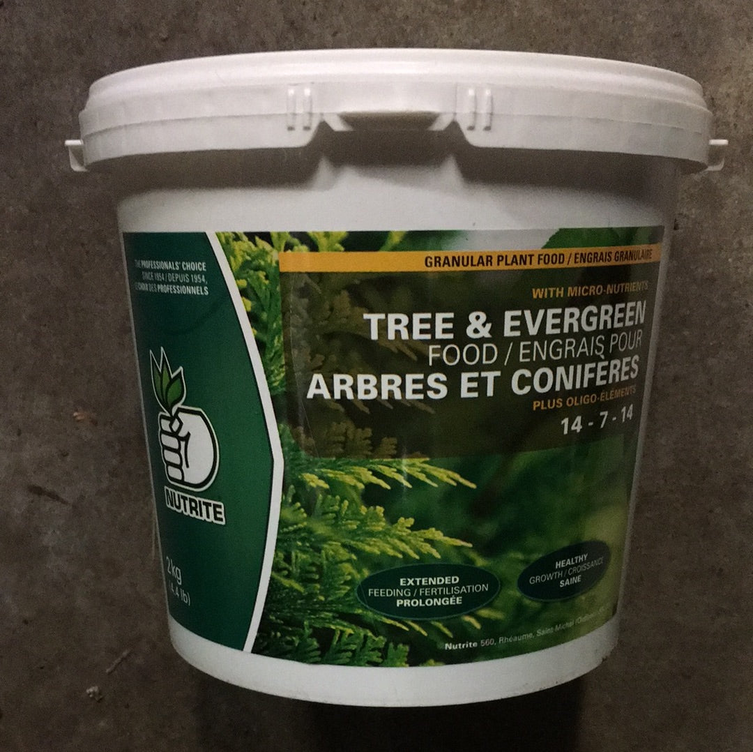 Tree and Evergreen Fertilizer (2kg)