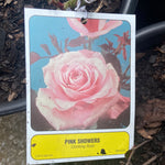 Load image into Gallery viewer, Climbing Roses
